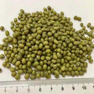 Commercio All'ingrosso di massa di Semi di Fagioli Mung Verde - Product Image 1