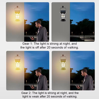 Lanterne solaire de camping rechargeable par USB, à intensité variable, 4 modes, à suspendre, pour tente extérieure, éclairage d'urgence, lumière d'ambiance portable