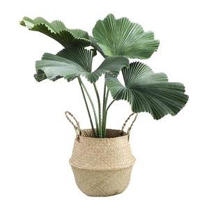 Pianta Artificiale Resistente ai Raggi UV, Succulenta 2026, <span class=keywords><strong>Piante</strong></span> Artificiali <span class=keywords><strong>da</strong></span> Interno di Tendenza, Foglie di Bonsai Artificiali Estetiche per Cimiteri - Product Image 5