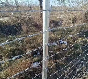 Markt 500m 25kg/Rolle Kaliber 15 16 Feuer verzinkter Stacheldraht Alambre De Puas Galvani zado Stacheldraht für Zaun - Product Image 3