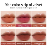 Rouge à Lèvres Liquide Mat Crémeux Luxe Sans Cruauté Très Vendu en Gros, Imperméable et Longue Tenue, Lipgloss Marque Privée