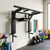 Station de musculation tout-en-un pour la maison, barre de traction murale en acier inoxydable, musculation des bras, triceps, poitrine, dos