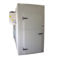Chambre froide stockage modulaire aliments surgelés chambre de stockage à froid légumes petit refroidisseur commercial chambre de stockage de refroidissement des aliments