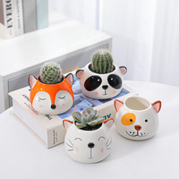 Pot de fleurs en céramique pour plantes succulentes, petit pot de fleurs en forme d'animal mignon, renard, panda, chien, chat