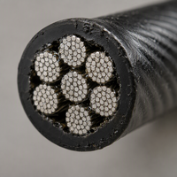 Câble de fitness 7x19 6 mm avec embout en acier inoxydable, câble métallique pour remplacement de pièces de machines de gym
