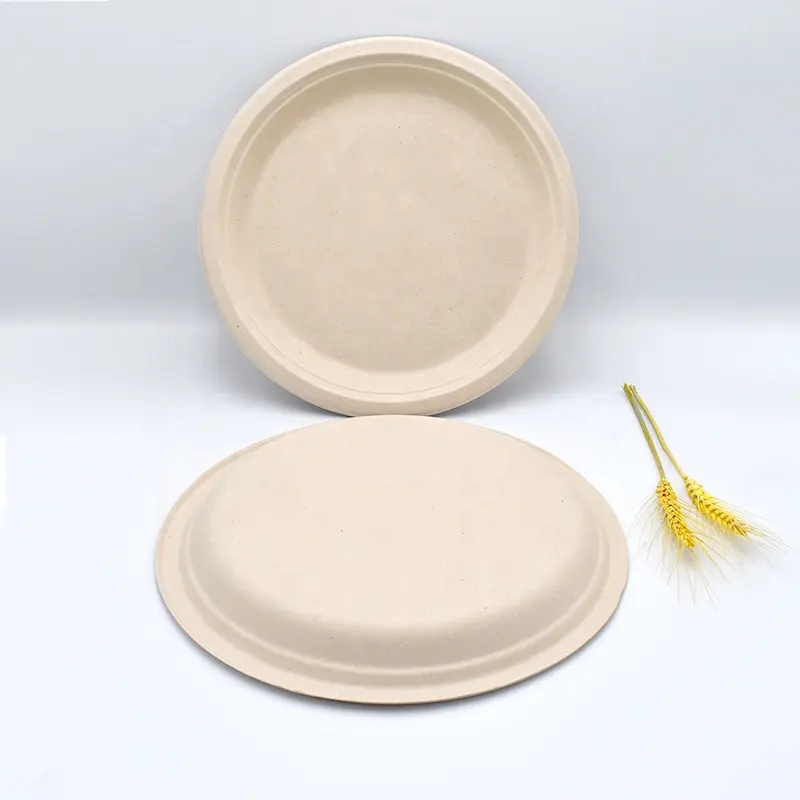 생분해 성 접시 판매 일회용 bagasse 식품 containers100 % compostable 사탕 수수 bagasse 음식 요리 저녁 식사