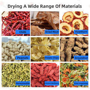 Séchoir à pompe à chaleur éprouvé <span class=keywords><strong>sur</strong></span> le <span class=keywords><strong>marché</strong></span> pour tranches <span class=keywords><strong>de</strong></span> tomates et courgettes - Product Image 6