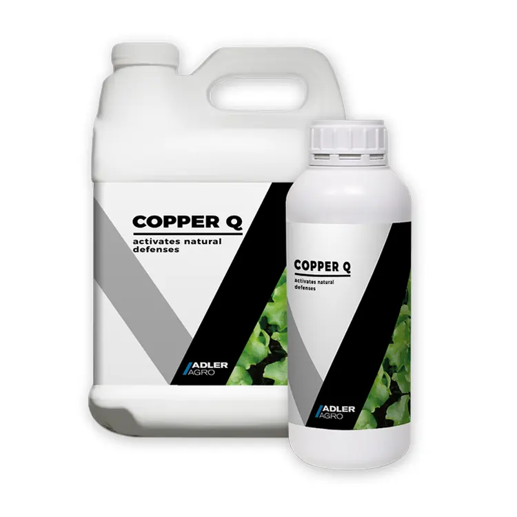 Crop Copper Chelated Fertilizer Liquid Foliar Fertilizer for Lettuce Organic Copper Fertilizer For Vegetable