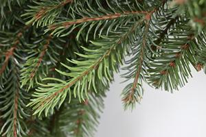 พวงหรีดคริสต์มาสประดิษฐ์แบบกำหนดเองเป็นมิตรกับสิ่งแวดล้อม พวงหรีดเทศกาลวันหยุดสำหรับประตูและผนัง - Product Image 5