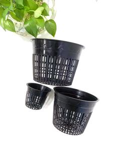Fournitures de jardin hydroponiques noires PP modernes d'usine 5 "6"-Wasserkultur Pflanzkorb Pflanzen Topf Net Pot pour l'<span class=keywords><strong>hydroculture</strong></span> - Product Image 4