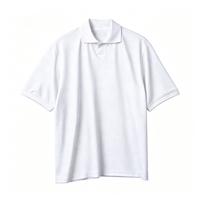 Chemise de golf pour homme sur mesure en polyester tissé respirant avec logo monogramme imprimé par transfert thermique, fabricant OEM ODM, style décontracté