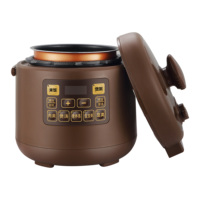Cuisinière électrique multifonctionnelle de haute qualité pour la maison, 2,5 L, cuiseur à pression, marmite à soupe, cuiseur à riz électrique