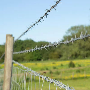 <span class=keywords><strong>Fil</strong></span> de fer direct d'usine galvanisé PVC enduit anti-escalade <span class=keywords><strong>fil</strong></span> de fer barbelé trempé à chaud <span class=keywords><strong>pour</strong></span> prix de clôture - Product Image 5