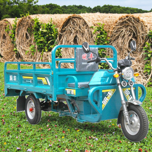 Tricycle Électrique Motorisé WF1500DZH pour Adulte 70 KM Moto à <span class=keywords><strong>Trois</strong></span> Roues en Stock - Product Image 6