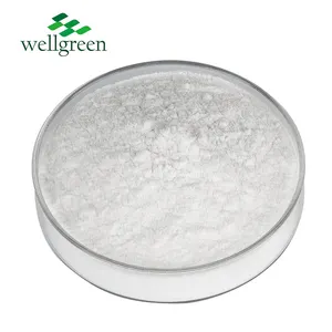 Wellgreen-مكملات غذائية من المواد الخام للبيع بالجملة ، بيوتين د-بيوتين ، مسحوق فيتامين H