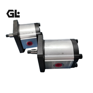 Pompe hydraulique à engrenages haute pression pour pavés Fuge Wp09a1b060r03ba150n Wp09a 1b160r03ba102n Wp300b Wp03b Wp09a Wp15a Wp12a - Product Image 4