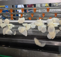 Productielijn voor aardappelchips met lage investering en hoge opbrengst, inclusief verpakkings- en friteuse-installatie