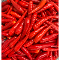 Piments frais, légumes crus, aliments et boissons de l'équipe professionnelle, excellent service après-vente agricole, vietnamien, 30 kg/paquet