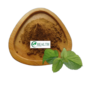 Yhealth工場メーカー卸売桑葉エキス粉末 - Product Image 1
