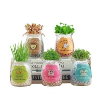 Boneka rumput panjang Modern ramah lingkungan ekspresi keren kreatif pot ornamen hadiah DIY menanam Ion negatif hidroponik