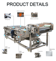 Automatische Fruitverwerkingsmachine Voor Groenten En Fruit