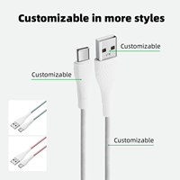 Câble USB Type-C WISTAR de haute qualité à charge rapide, compatible avec les téléphones mobiles et les ordinateurs, avec gaine en nylon et blindage, vente en gros, Micro-USB C-C