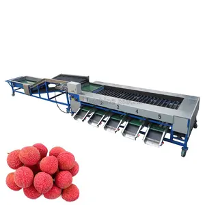 Machine de classement de triage d'olives Machine de classement de tomates cerises Machine de classement de fruits pour fruits ovales