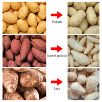 Commerciële automatische was- en schilmachine voor uien, wortelen, aardappelen en gember, van roestvrij staal, voor groenten en fruit.