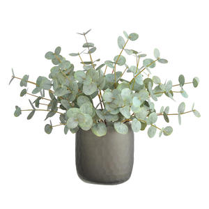 Follaje Artificial de <span class=keywords><strong>Eucalipto</strong></span> y <span class=keywords><strong>Hoja</strong></span> de Dinero Impreso en 3D para Decoración Fresca en Hoteles y Hogares - Product Image 5