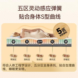 Firm Latex Spring <b>Mattress</b> 1500x2000mm 1800x2000mm Pocket Springs Orthopedic <b>Support</b> Contemporary Design - Product Image 3