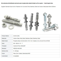 Ancre à coin en acier au carbone électrogalvanisé, boulon d'expansion robuste pour fixation de support sismique dans le béton