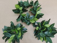 Karangan Bunga Daun Hijau Lei Hawaii Bunga Merah Muda Hula Hawaii Kalung Gaun Pesta Hiasan Kepala dan Ikat Rambut Karangan Bunga