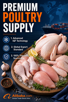 Cuisses de poulet surgelées de qualité export, en vrac, IQF, jambes de volaille crues pour cuisines industrielles et distribution en gros