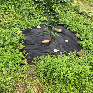 Toile de paillage écologique <span class=keywords><strong>2021</strong></span>, un nouveau <span class=keywords><strong>film</strong></span> <span class=keywords><strong>agricole</strong></span> anti-mauvaises herbes, dégradable en 2-3 ans - Product Image 6