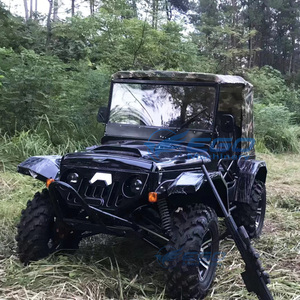 Haute qualité 250cc Sport Street Legal jeep électrique Buggy moteur jeep Kart adultes moteur à essence jeep chariot - Product Image 1