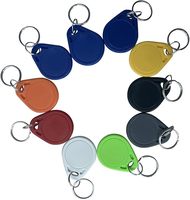 Tag Kunci RFID Tahan Air ABS dengan Chip 13.56MHz, Logo Kustom Tahan Lama, 215 Proximity, Kontrol Akses T5577, Pemrograman Fob Kunci Hotel