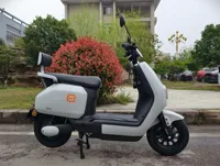 Moto électrique à succès 1000-2000W, cyclomoteur électrique 60V/72V