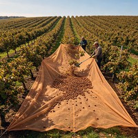 Olijven-, appel- en notenoogstnetten - Lichtgewicht HDPE UV-materiaal, vormgeving & snijwerk, fruitopvang