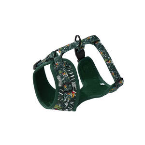 Schnellverschluss Umweltfreundliches Nylon-Hundehalsband mit Modisch Bedruckten Bändern und Dehnbarem Knopfverschluss für Alle Rassen - Product Image 2