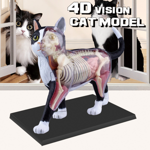 Modelos Anatómicos 4D de Animales para Uso Médico, Modelos de Órganos Internos de Gato, Perro, <span class=keywords><strong>Cerdo</strong></span>, Vaca y Caballo, Regalo Científico para Niños - Product Image 1