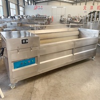 Machine à éplucher les brosses DY sans dommage Machine à éplucher le gingembre industriel à poils durables Machine à éplucher les carottes 1200 kg/h