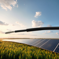 Sichere und zuverlässige elektrisch isolierte hitze beständige Kupferkabel Elektrische Drähte 2,5mm 4mm für den Anschluss von Solar wechsel richtern