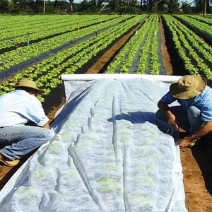 ผ้าใยสังเคราะห์สำหรับปลูกผักผลไม้ผ้าฟรอสต์ผ้าไม่ทอสำหรับการเกษตรออกใหม่ - Product Image 3