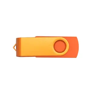 Uncased USB Flash Disk / Memory Stick - 2 GB