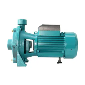 LLASPA orizzontale Dc automatico Booster domestico 1Hp pompa dell'acqua elettrica centrifuga di superficie 1 Hp