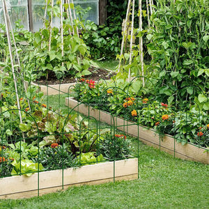 Single Rustproof Eco-Friendly Nature Lawn Edging Metal Garden <b>Fences</b> Wire Welded Iron Arch Shape Removable Decorative - Product Image 6
