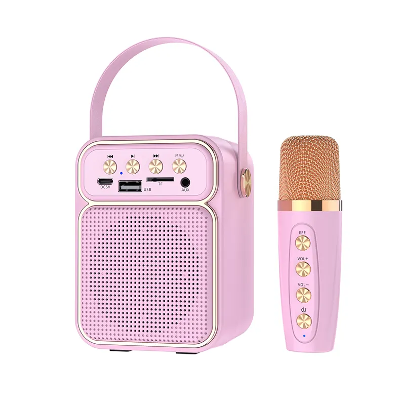 ES-4049 Karaoke Machine Voor Volwassenen En Kinderen Draagbare Bluetooth Karaoke Speaker Zingen Karaoke Voor Home Party Grote Geschenken