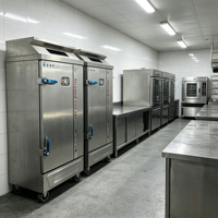 Cuisinière professionnelle à vapeur pour riz et poulet, grande capacité, 10 plateaux, gaz/électrique