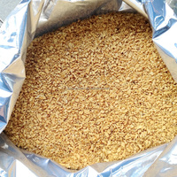 Shandong Xuanyi Halal Granules d'ail croustillantes à faible teneur en amidon 1kg LKK Ingrédients d'assaisonnement pour ail frit