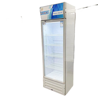 Réfrigérateur Sub-Zero avec congélateur sur plan de travail, porte congélateur incurvée, congélateur cryogénique, réfrigérateur autonome en acier inoxydable